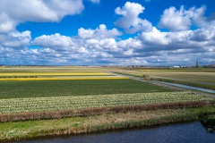 20210411-Keukenhof-1010052