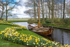 20210411-Keukenhof-1010069