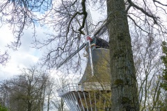 20210411-Keukenhof-1010070