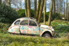 20210411-Keukenhof-1010071