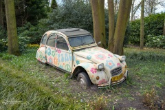 20210411-Keukenhof-1010072