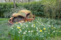 20210411-Keukenhof-1010073