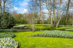 20210411-Keukenhof-1010074