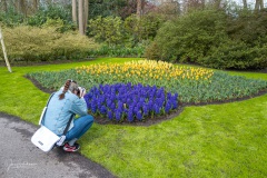 20210411-Keukenhof-1010076