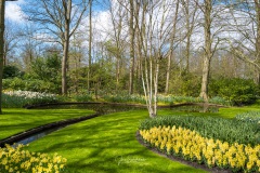 20210411-Keukenhof-1010081