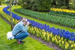 20210411-Keukenhof-1010086