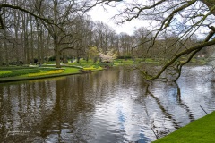 20210411-Keukenhof-1010089