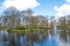 20210411-Keukenhof-1010092