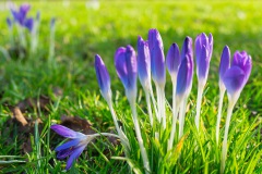 20210225-Park-1000615