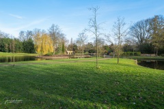 20210225-Park-1000627